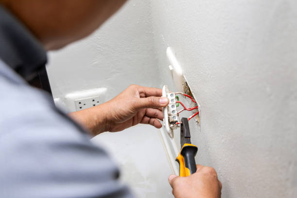 Best Ceiling Fan Installation Electrician  in Richmond, MI