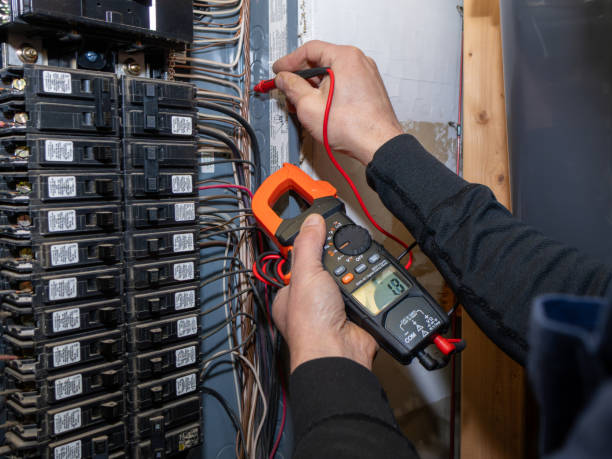 Best Affordable Electrician  in Richmond, MI