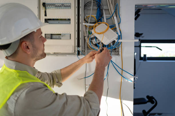 Best Electrician for Home Renovation  in Richmond, MI